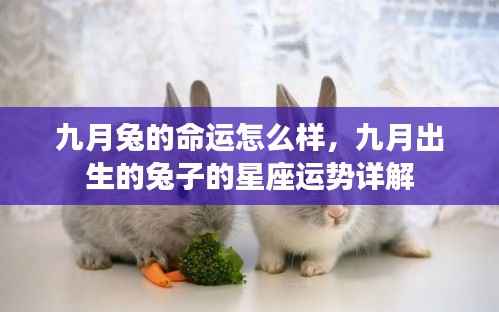 一张一翕 第5页