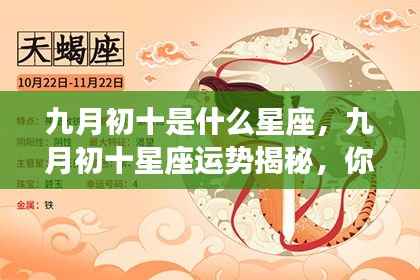 不修边幅 第5页