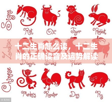 一毫不苟 第5页