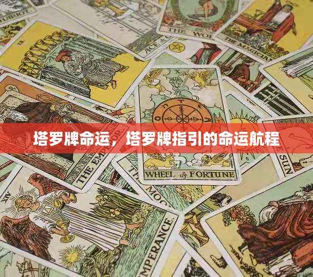 蛾眉曼睩 第5页