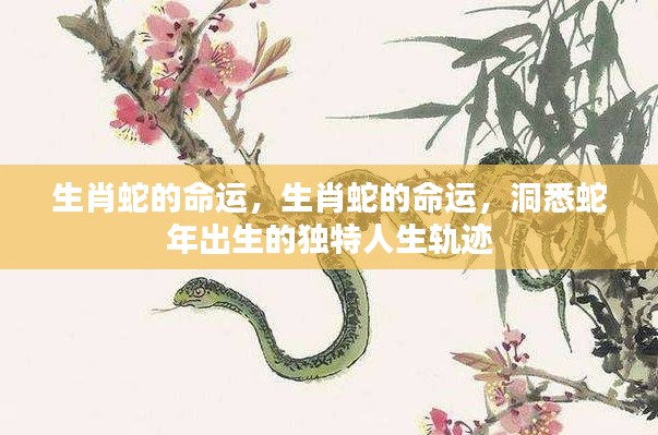 揭秘生肖蛇的命运轨迹，洞悉蛇年出生人的独特人生之路。