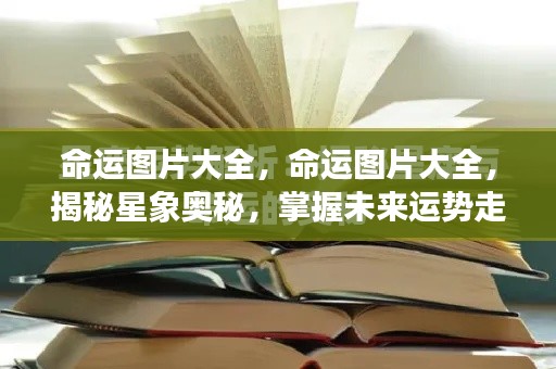 仙姿佚貌 第6页