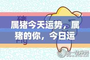 属猪今日运势详解,运势分析助你把握好运!