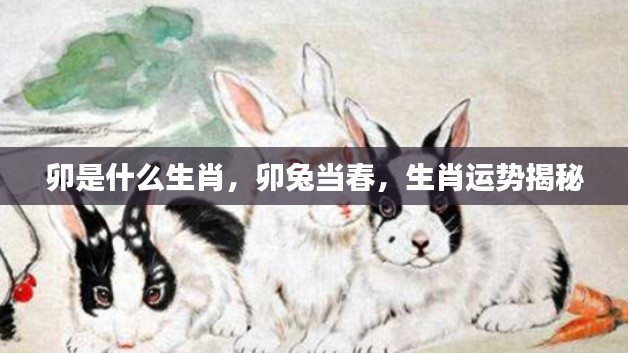 瞻云就日 第5页