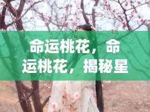 揭秘星座爱情运势走向，命运桃花深度解析