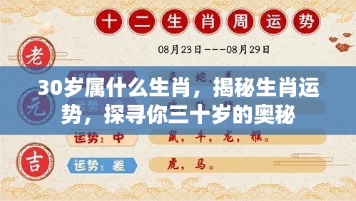 夫贵妻荣 第4页