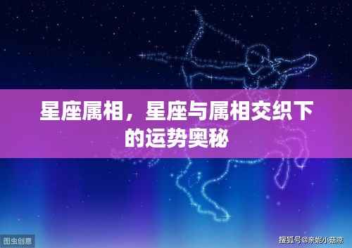 星座属相交织下的运势奥秘探索