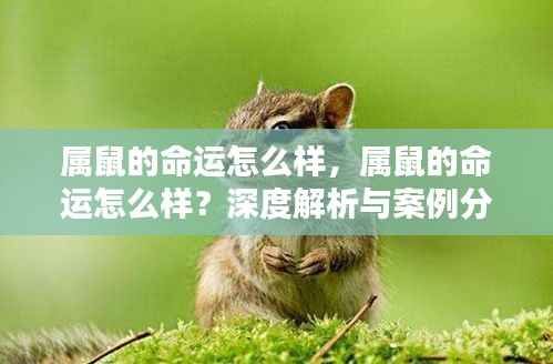 首当其冲 第5页