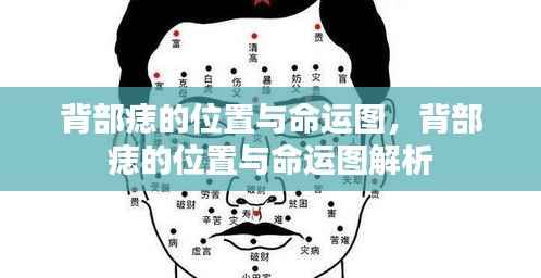 漫天飞舞 第5页