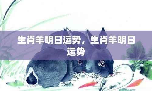 生肖羊明日运势预测及解析