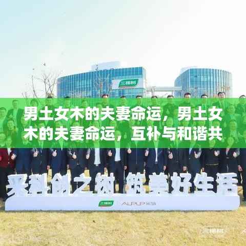 阳春白雪 第4页