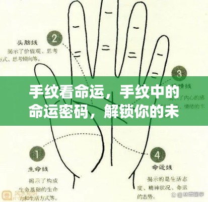 手纹揭示命运密码，探索未来之路的奥秘