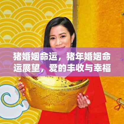 伤弓之鸟 第4页