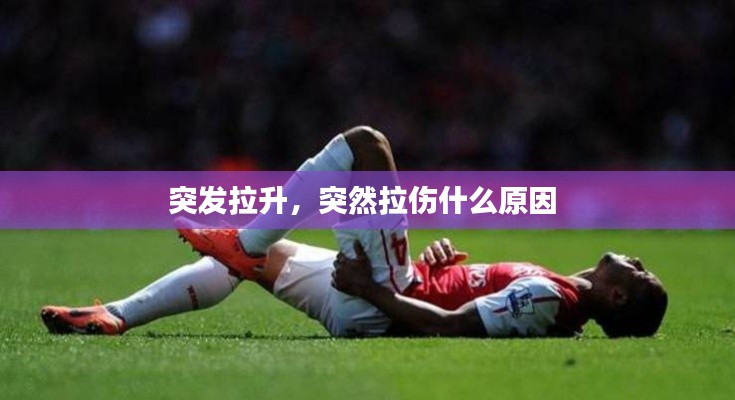 巧舌如簧 第3页