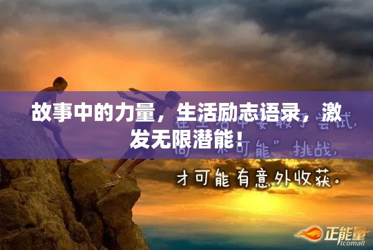 物以稀为贵 第4页