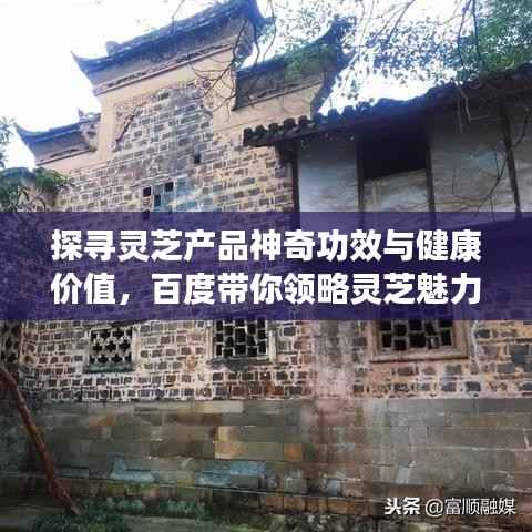 飞燕化龙 第5页