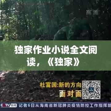 漫天飞舞 第4页