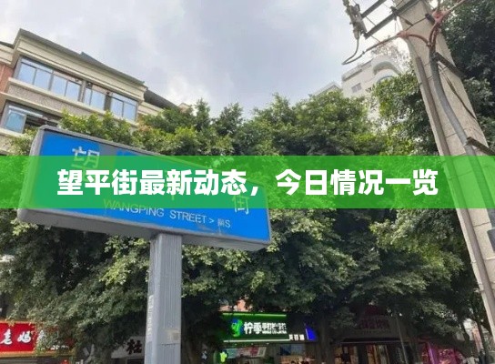 望平街最新动态,今日情况一览