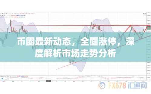 张皇铺饰 第4页