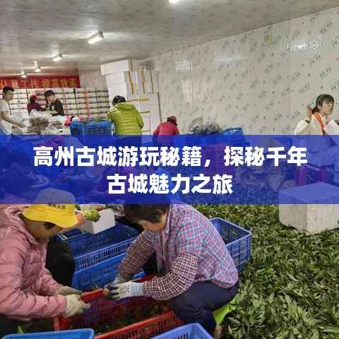 喜出望外 第4页