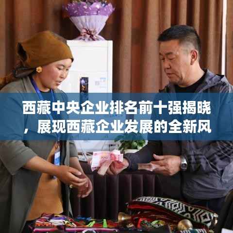 西藏中央企业排名前十强揭晓，展现西藏企业发展的全新风采